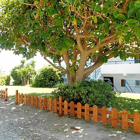 Hotel Evi And 3*